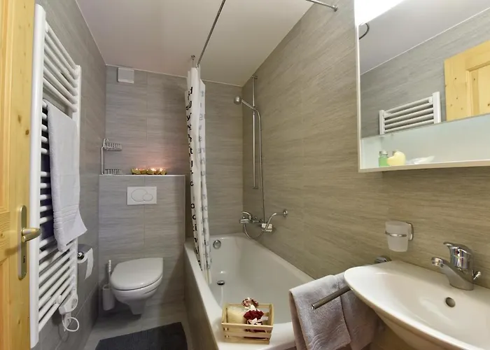 Apartament Vieux Grimentz